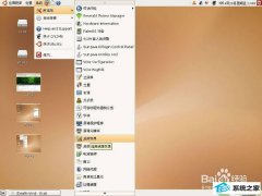 win10系统网页看视频死机的恢复教程