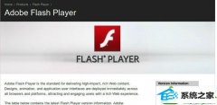 番茄家园教你win10系统打开浏览器视频提示flash插件不可用的技巧