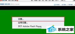 手把手为你win10系统笔记本专用网页观看视频出现绿屏的教程